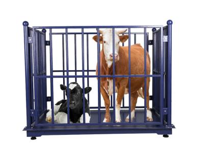 Portable 3T Livestock Weighing Scales Carbon Steel