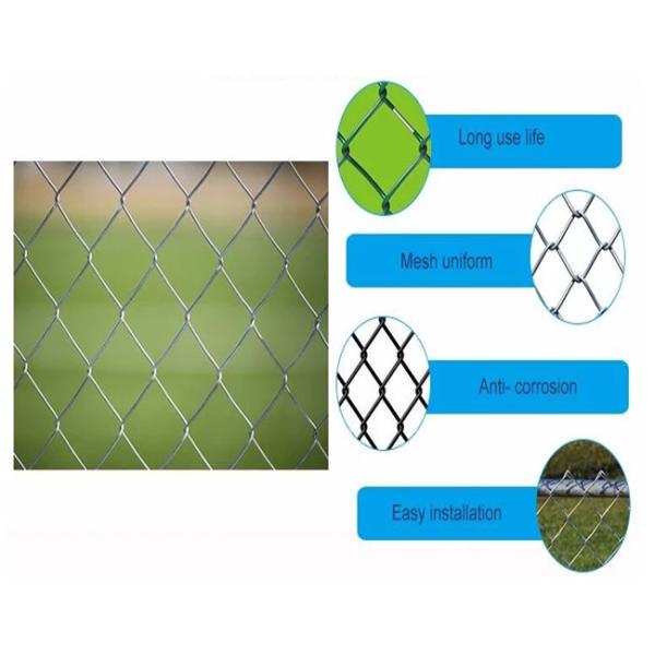 50mm*50mm Hole Galvanized Chain Link Fence Farm use
