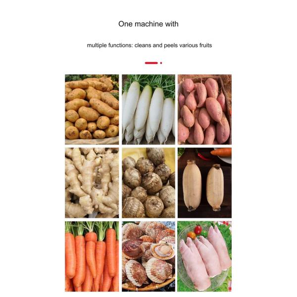 Fast Cleaning Root Vegetables Peeling Machine with Enhanced Wavy Brush and 0.75KW Power