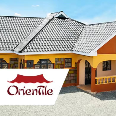 0.3-0.8 mm Roofing Sheets Africa Economic Glazed Tile Roll Forming Machine Villa Warehouse Factory Building Roof Panel