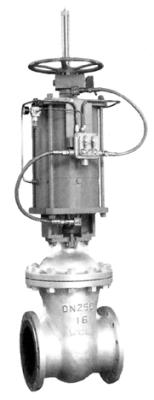 Double Cylinder Pneumatic Wedge Gate Valves For Petroleum Chemical Industry
