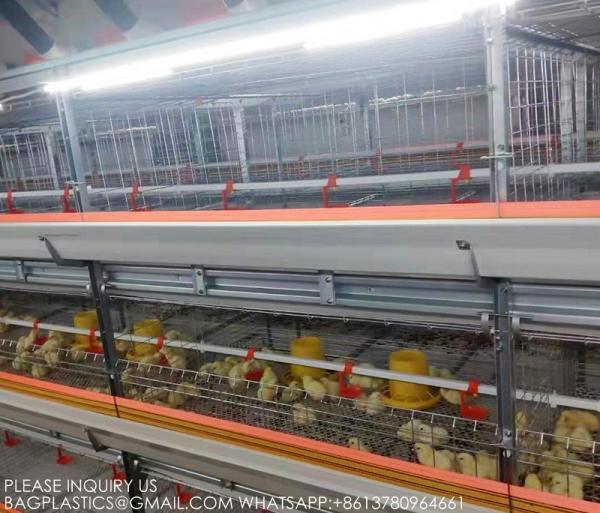 Poultry Farming Equipment Manufacturer 4 Tiers H Type Parent Chicken Battery Breeder Cage