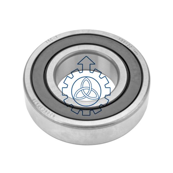 DAF High Strength Self Aligning Bearing 62052RS1 1623800 500358297