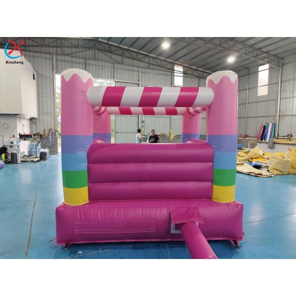 Commercial Grade Inflatable Bounce House Pink House Inflatable Jumping Castle