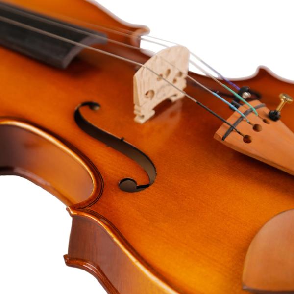Hot Sale 4/4-1/8 Size Plywood Body with Very Nice Flamed Veneer on Top Student Violin