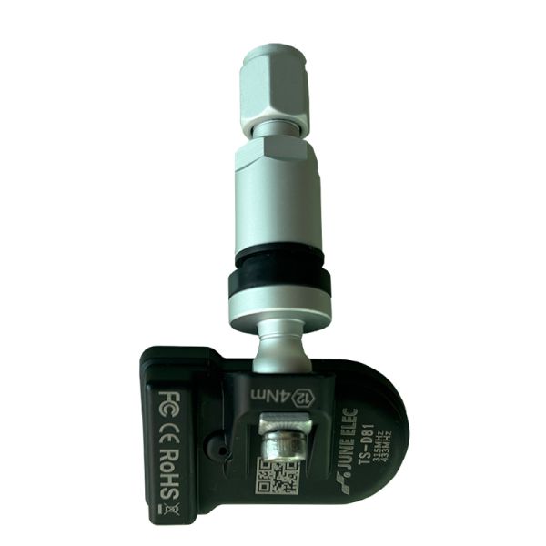 Universal Tire Pressure Sensor Dual Frequency 315Mhz 433Mhz TPMS Sensor For Car