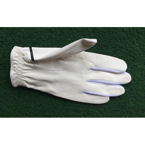 golf glove , golf gloves