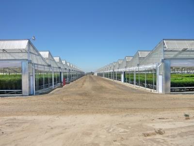 Saw Tooth Greenhouse 4 Seasons Green House With Heating System