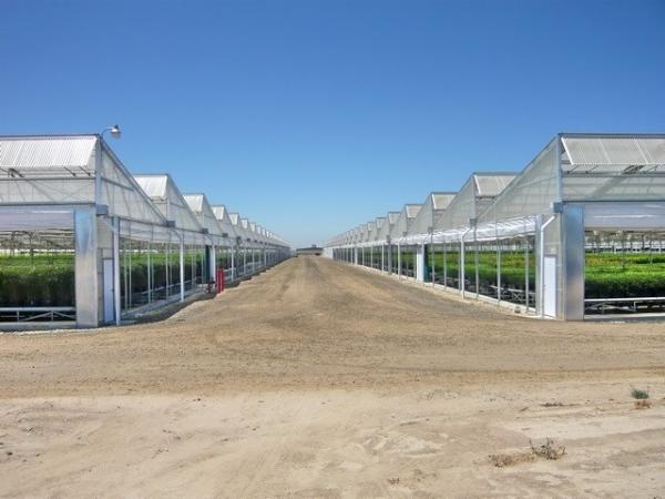 Saw Tooth Greenhouse 4 Seasons Green House With Heating System