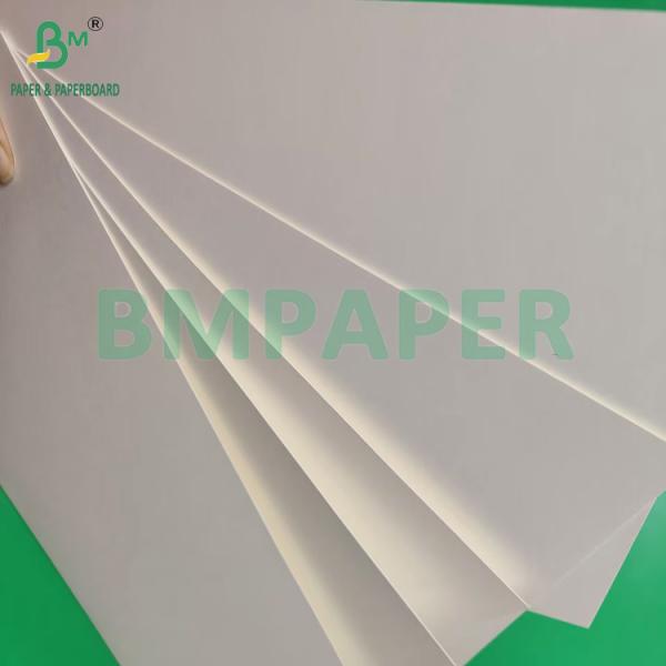 230gm Papel blanco desechable de alta resistencia plegable