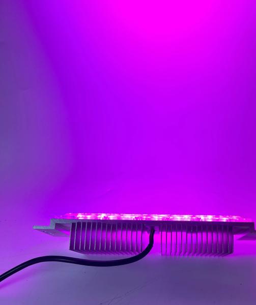 40W 50W IP66 Waterproof RGB rgbw DMX LED Flood Light Module Easily Installation