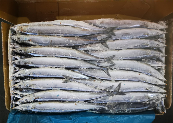 рыбы сайры Seafrozen BQF круга 90g 100g все Тихие океан