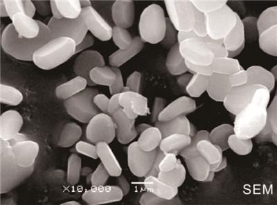 Bom pó da alumina da pureza alta da cerâmica do óxido de alumínio do Dispersibility 99,95%