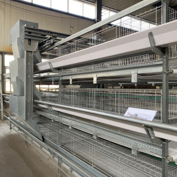 Hot Dip Galvanized Steel Fully Automatic Vertical H Type Multitier Chicken Egg Laying Cage