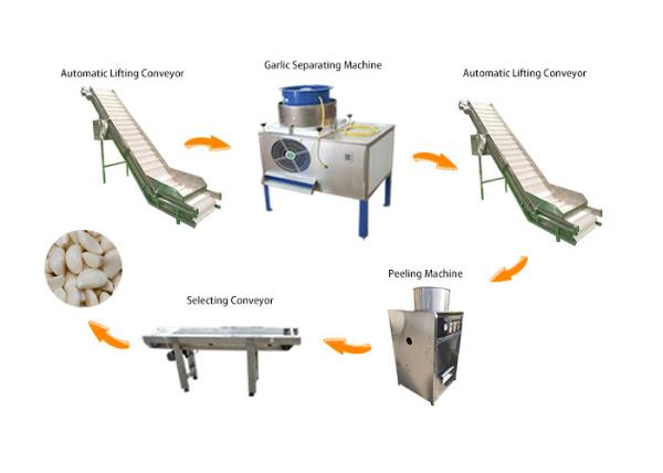 1000-2000 kg/h Industrial Automatic Garlic Peeler Processing Machine Production Line