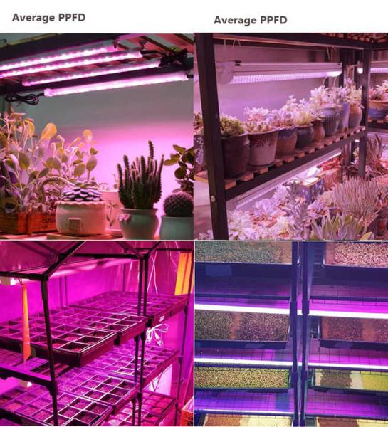 4ft hydroponic light 36w 18W T8 led grow light tube led indoor grow lights stand for lettuce mushroom