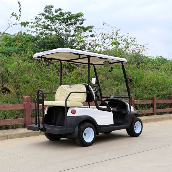 2 Seats Front Electric Golf Carts 5KW AC Asynchronous Motor 48V Lithium Battery