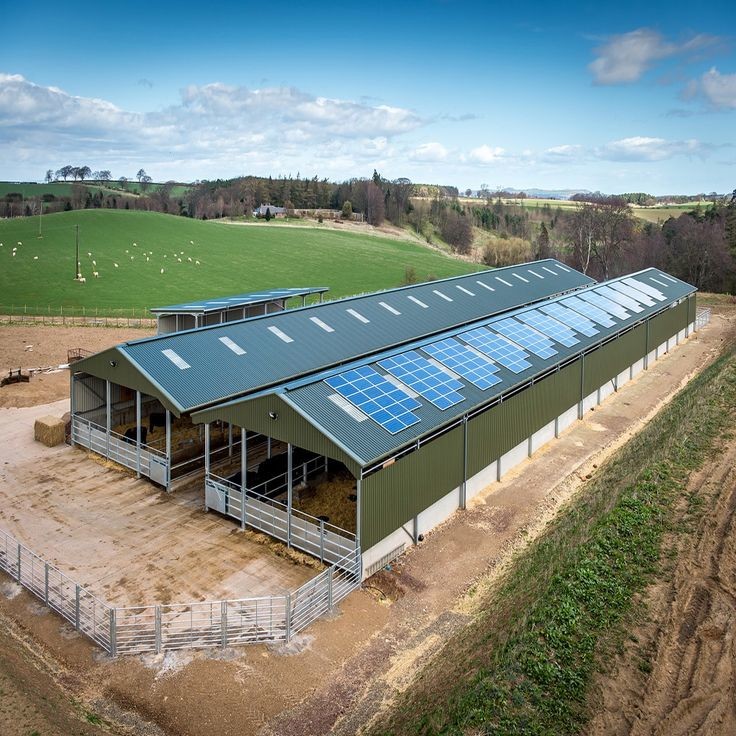 Customized Industrial Steel Sheds Modern Style Easy Install Shed For Dairy Farm