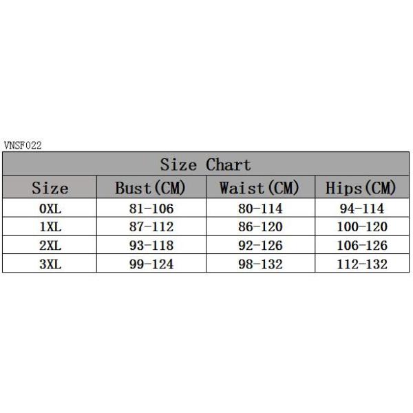 2019 New Plus SizeTwo piece  Swimsuit Women Push up