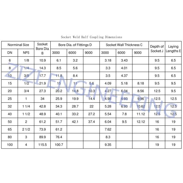 Duplex Steel 2205 Forged Coupling UNS 32205 Socket Weld Threaded Fittings