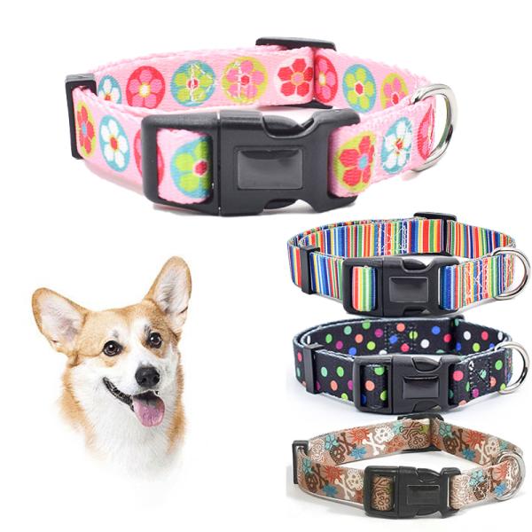 Fashionable Nylon Buckle Dog Collar S M L Breakaway Cat Collars Customized