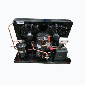 Made in China 1.5HP to 3HP Tecumseh compressor condensing unit cold room