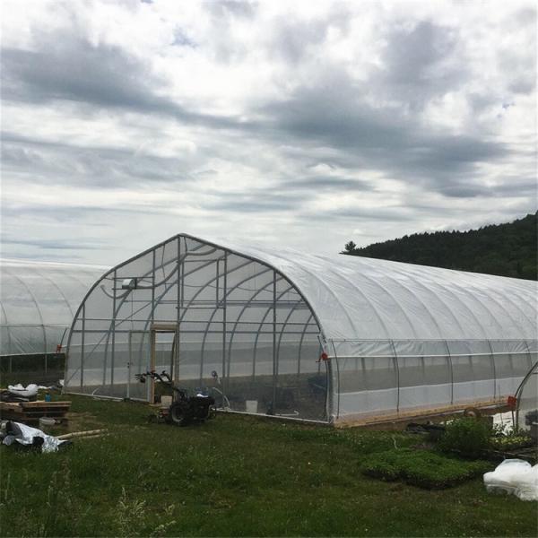 Greenhouse Frame Structure 200 micro PE Film Ventilated Serre Agricole Hoop House Greenhouse