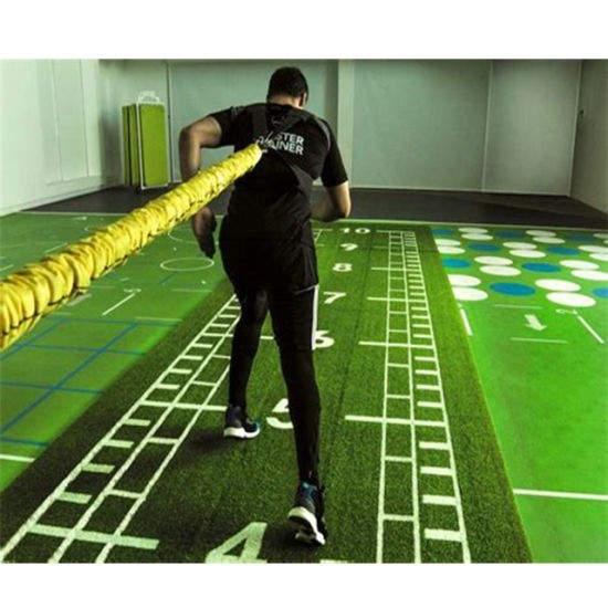 Custom Logo Design Gym Artificial Grass with Brown Turf and Double PP NET SPU Backing