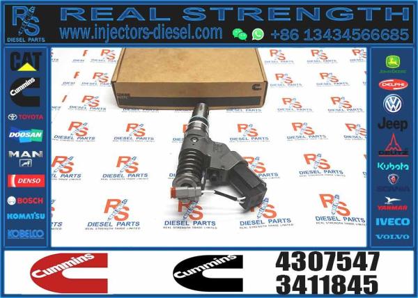 4307547 4061851 Ism11 Qsm11 Engine Fuel Injector For Excavator Diesel Engine Parts For Sale