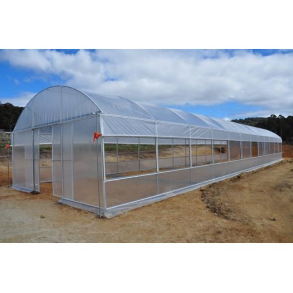 Single Span PE Film Greenhouse TUV Low Cost Poly Tunnel Greenhouse