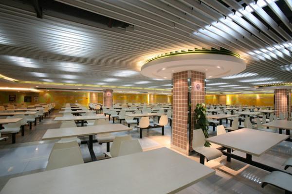 Decorative  Hanging Screen Ceilings , Soundproof Acoustic Baffles Ceiling New Style