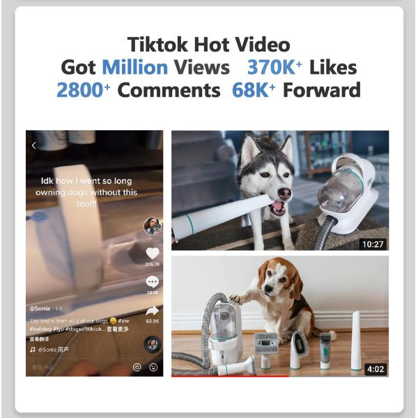 Порошок для волос для домашних животных для собак N.W/G.W. 2,5 кг/5 кг Уберите свой дом за короткое время