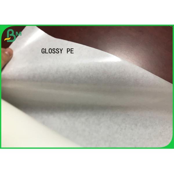 Jumbo Rolls 510mm PE Coated MG White 52gsm Poly Kraft Paper for bread bags