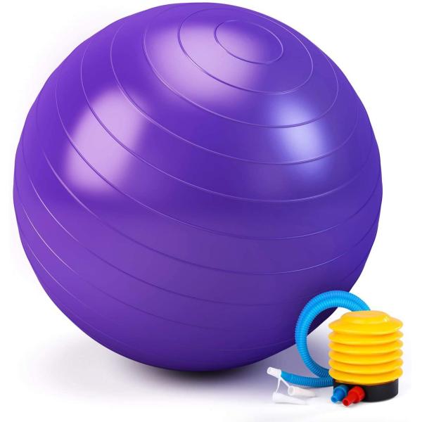55cm 65cm 75cm Stability Pilates Fitness Gym Exercise Yoga Ball for Home Gym Core Training