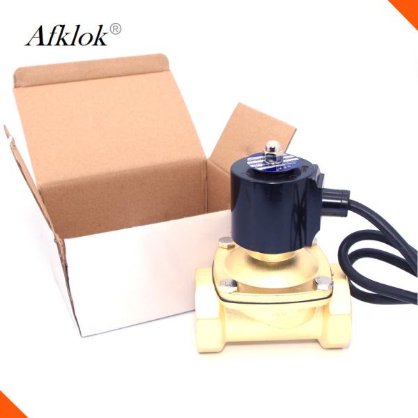 1Mpa 2A Series Underwater Solenoid Valve 24VAC 24VDC 110VAC IP68 2 Low Pressure