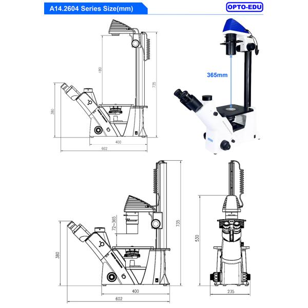 Opto-Edu A14.2604 Microscope optique à phase trinoculaire inversée à cellules de contraste