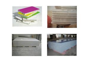 Fiberglass Honeycomb Composite Panel Board High Strength 15mm 18mm 21mm