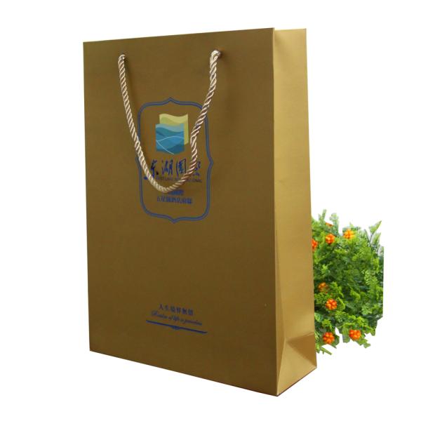 Hot Stamp 230gsm UV Logo Paper Carrier Bag Matt Lamination for advertising