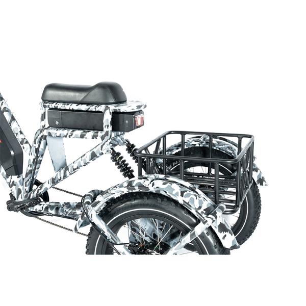Electric Delivery Cargo Tricycle E-bike 3 Wheel Suspension Disc Brake Aluminum Fork