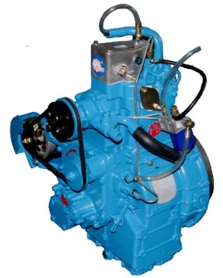 16.2KW Power Farm Tractor Parts Vertical Diesel Engine DLH1115 Gear Drive