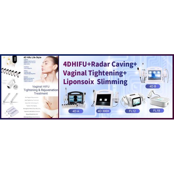 ИМП ульс лазера 1064нм Нд Яг черной машины удаления волос лазера диода кожи безболезненный длинный