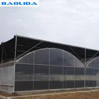 Desgraça plástica da estufa do tomate da multi tubulação mental do período para a agricultura