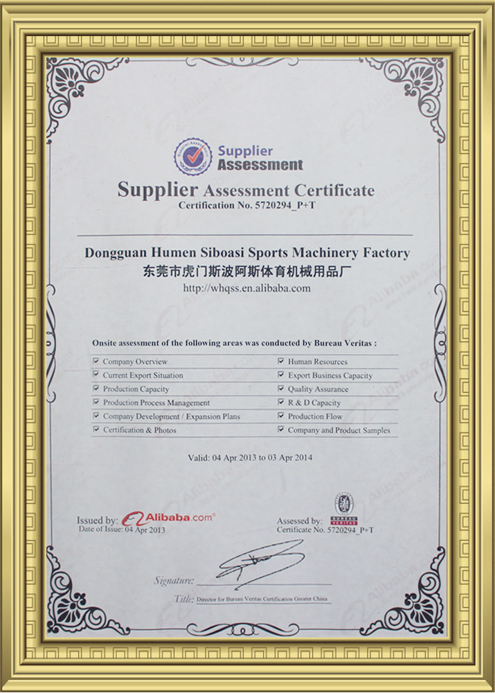 Dongguan Skyegle Intelligent Technology Co.,Ltd. Сертификации
