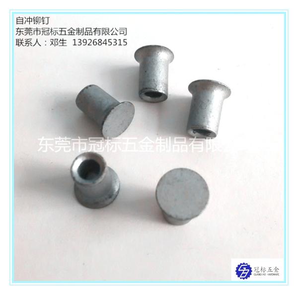 High Strength Self Penetrating Rivets JIS Standard 5.3x6mm 5.3x7mm 5.3x8mm