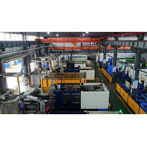Guangdong Xin Tongshi Group Co., Ltd.