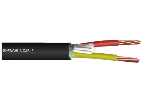 O fio de cobre da isolação dos cabos de controle de XLPE/PVC selecionou 450V