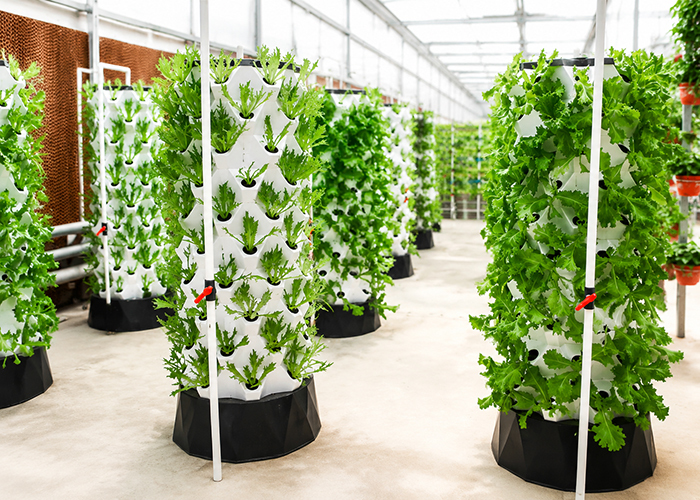 Pineapple Aeroponic Tower System | Modular Vertical Fruit Growing Kit
