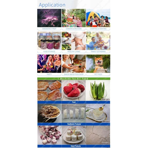 20Kg Small Commercial Freeze Dryer Commercial Lyophilizer For Vegetable NovaDryer-HF2000