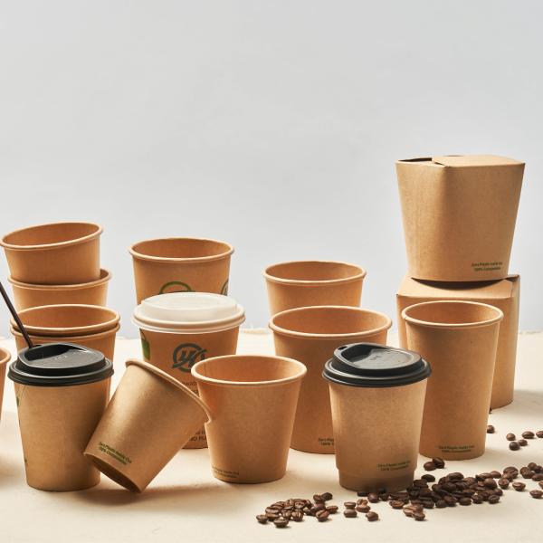 160gsm-400gsm Double Wall Recyclable Paper Cups 12oz Disposable Coffee Cups With Lids