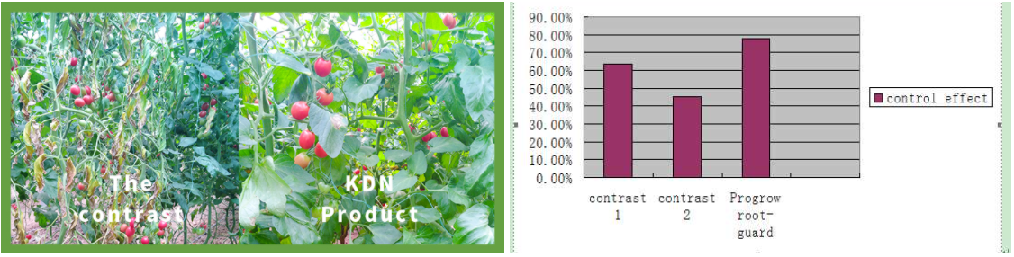 Agricultural Probiotics Clay Soil Amendment